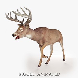 Deer Rigged