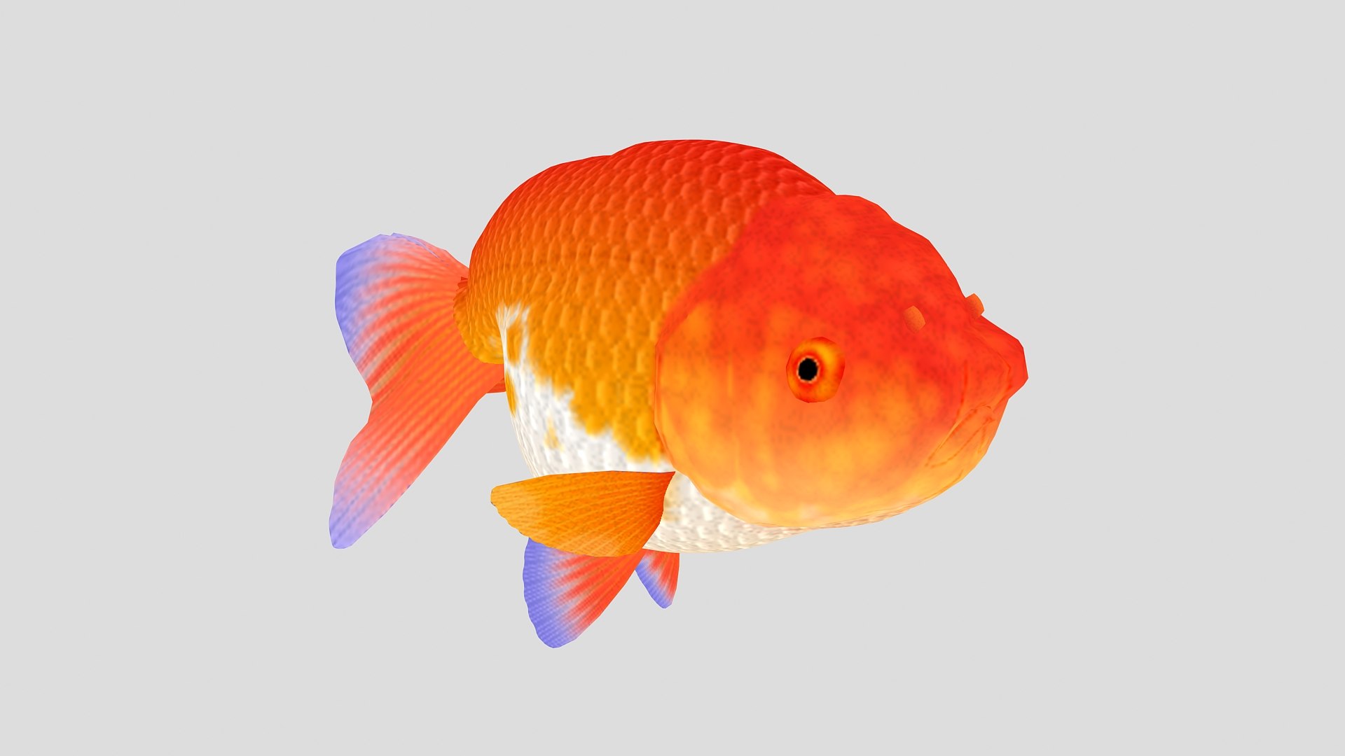 Fish 01 Model - TurboSquid 1261957