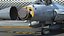 무장 장비가 장착된 PAC JF-17 썬더 파키스탄 공군