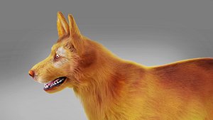 Fur Red Dog No Rigged 3D model