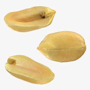 Peeled Peanut Collection model