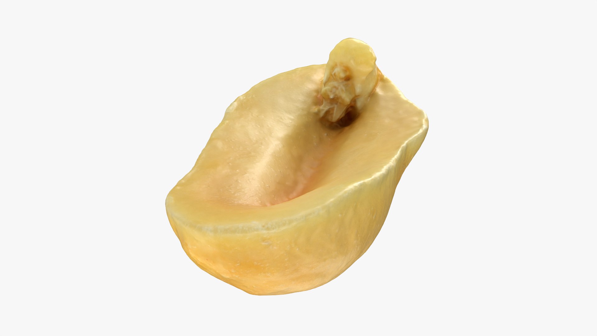 Peeled Peanut Collection model https://p.turbosquid.com/ts-thumb/uM/YsekWx/YZ/peanutpeeledhf1_0004/png/1757591798/1920x1080/fit_q87/df0865c7b5058b3f13b3d2c58bf94742dfd43b2b/peanutpeeledhf1_0004.jpg