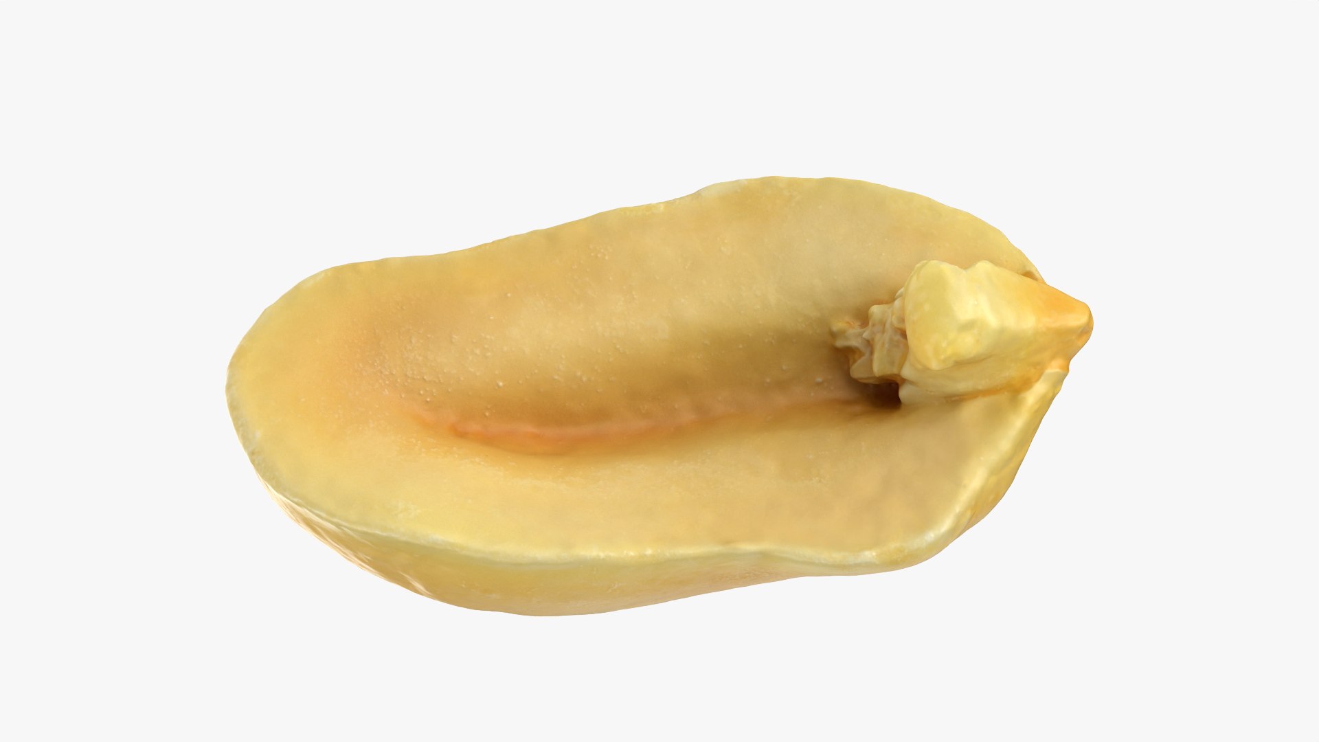 Peeled Peanut Collection model https://p.turbosquid.com/ts-thumb/uM/YsekWx/xZ/peanutpeeledhf1_0005/png/1757591798/1920x1080/fit_q87/676c25b280133a0ad224524832b420839cfb9624/peanutpeeledhf1_0005.jpg