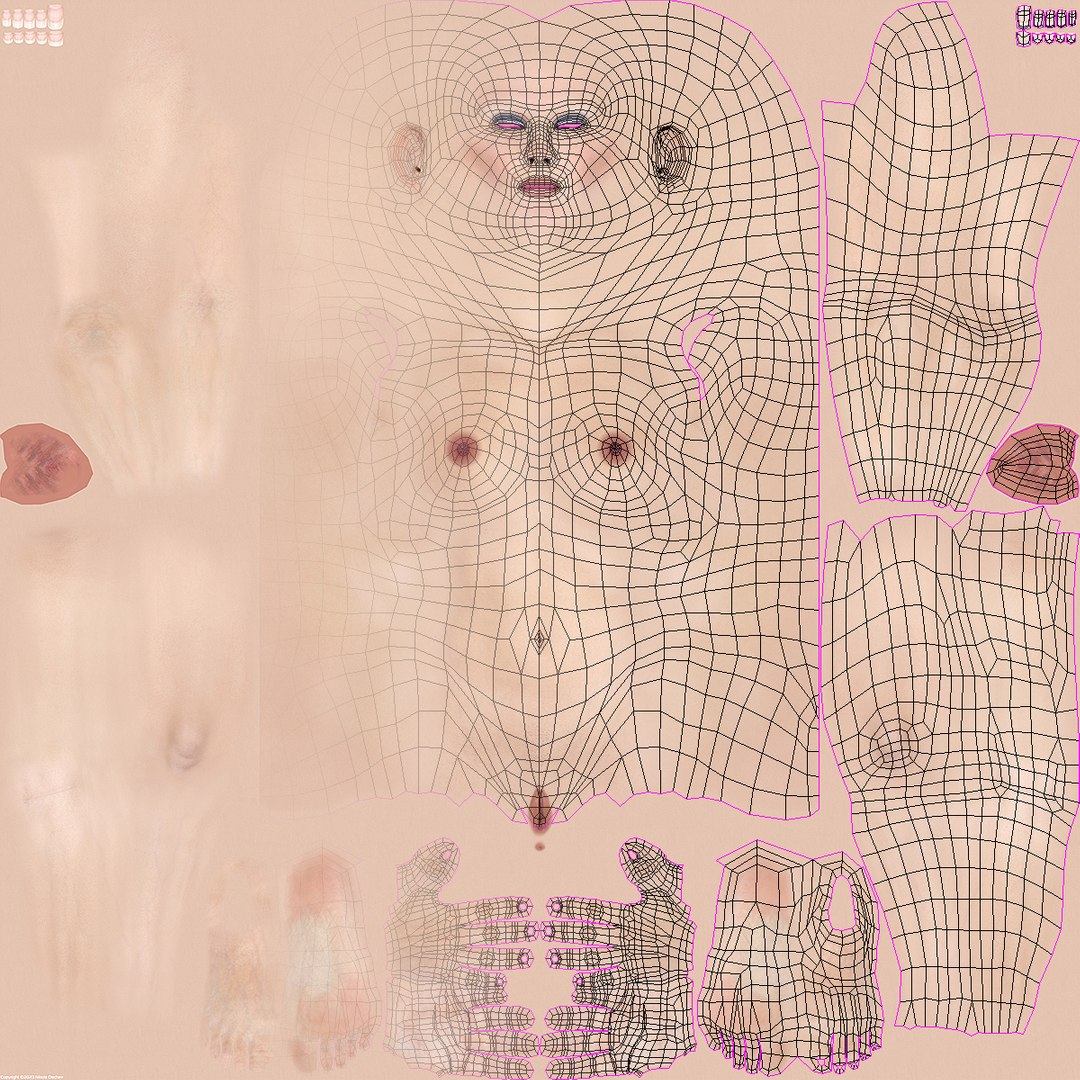 Denise 3D model https://p.turbosquid.com/ts-thumb/uM/qhR8X0/Kf/petra_uv/jpg/1743285081/1920x1080/fit_q87/15fd3850f40d76a1eff9e0625ced3232be2ac2de/petra_uv.jpg