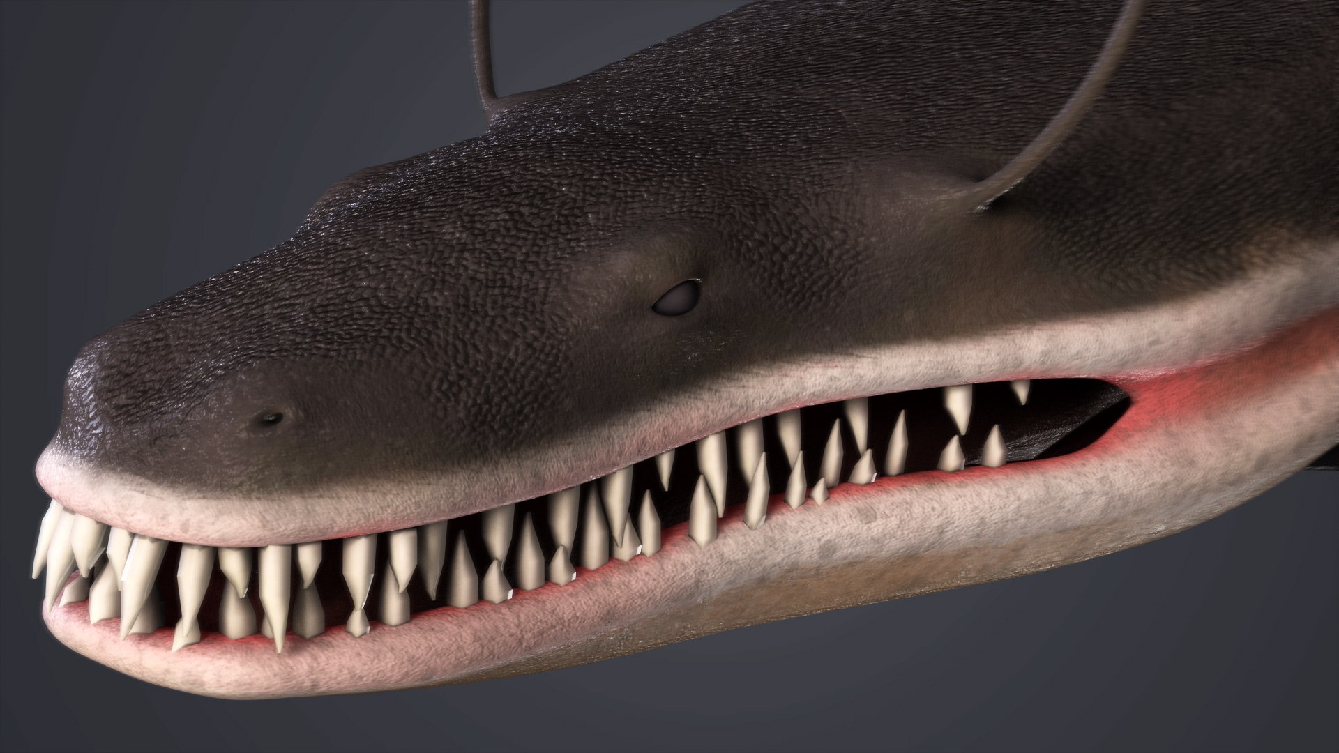 3D Sea Monsters Collection 02 model https://p.turbosquid.com/ts-thumb/uM/x8JGWC/sB/fishd/jpg/1668445714/1920x1080/fit_q87/462d83e9ea274b573eabed1c7bbf64ae9eacedca/fishd.jpg