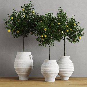 3D model lemons traditional mediterranean vases