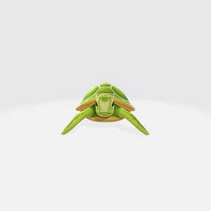 Cartoon Turtle