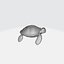 Cartoon Turtle 3D