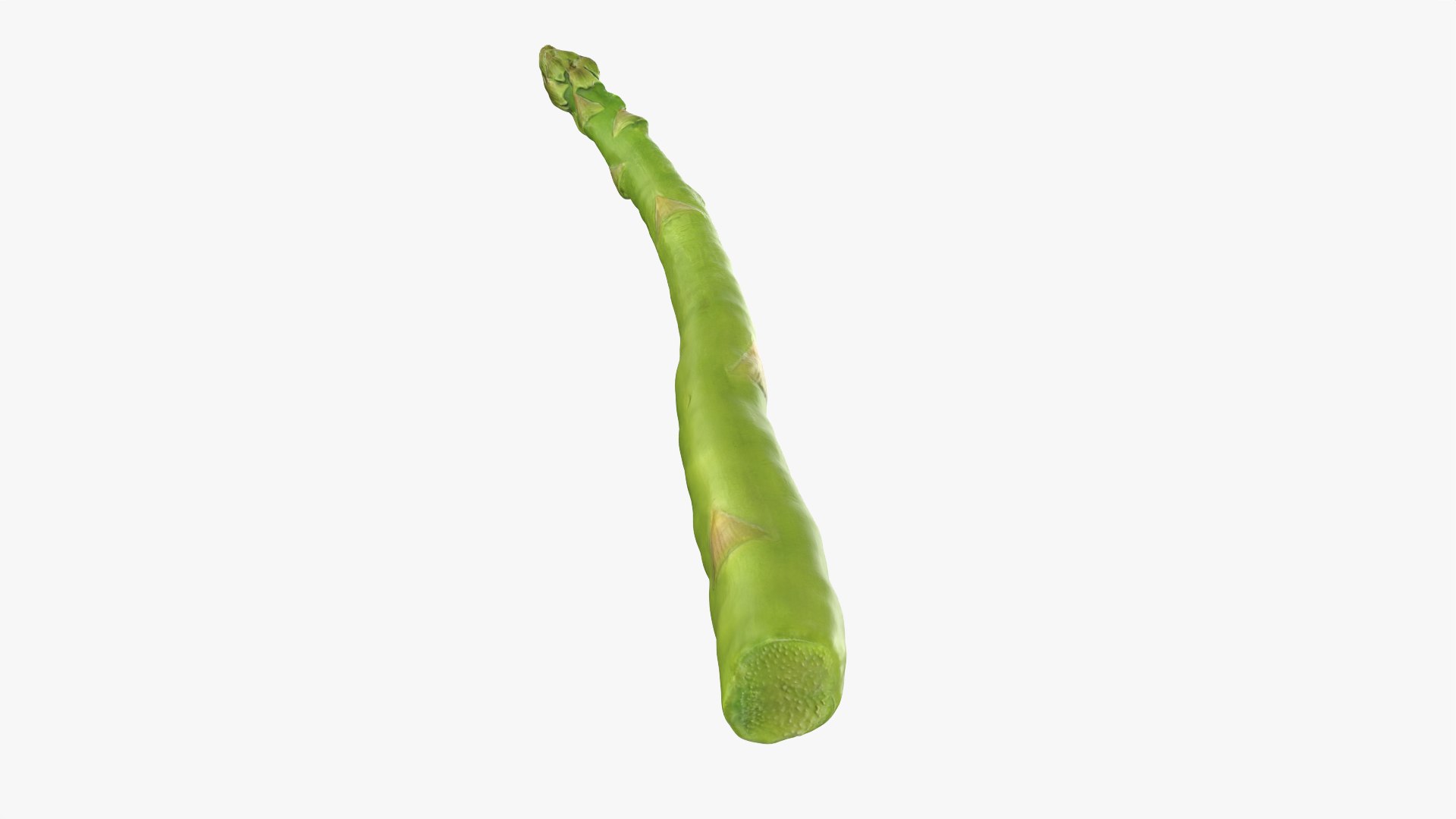 Asparagus Collection 3D https://p.turbosquid.com/ts-thumb/uN/BmSFEH/Sn/asparagus02_0006/png/1760766022/1920x1080/fit_q87/c2b3d03138bf18e01f195e7a3f81639c716bdb69/asparagus02_0006.jpg
