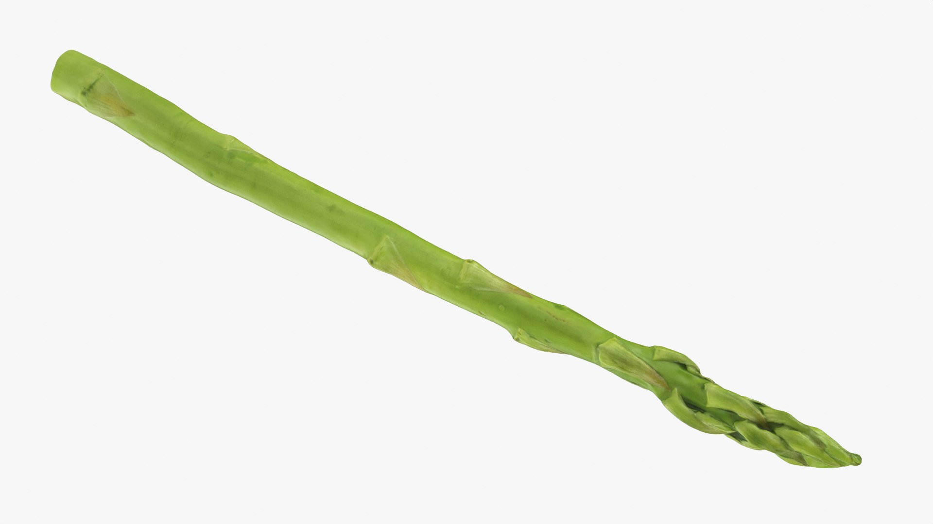 Asparagus Collection 3D https://p.turbosquid.com/ts-thumb/uN/BmSFEH/Vj/asparagus01_0002/png/1760765815/1920x1080/fit_q87/ff0b6ae6a4fb2d0b7b23856c695e72b28a46c7c4/asparagus01_0002.jpg