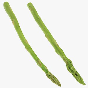 Asparagus Collection 3D