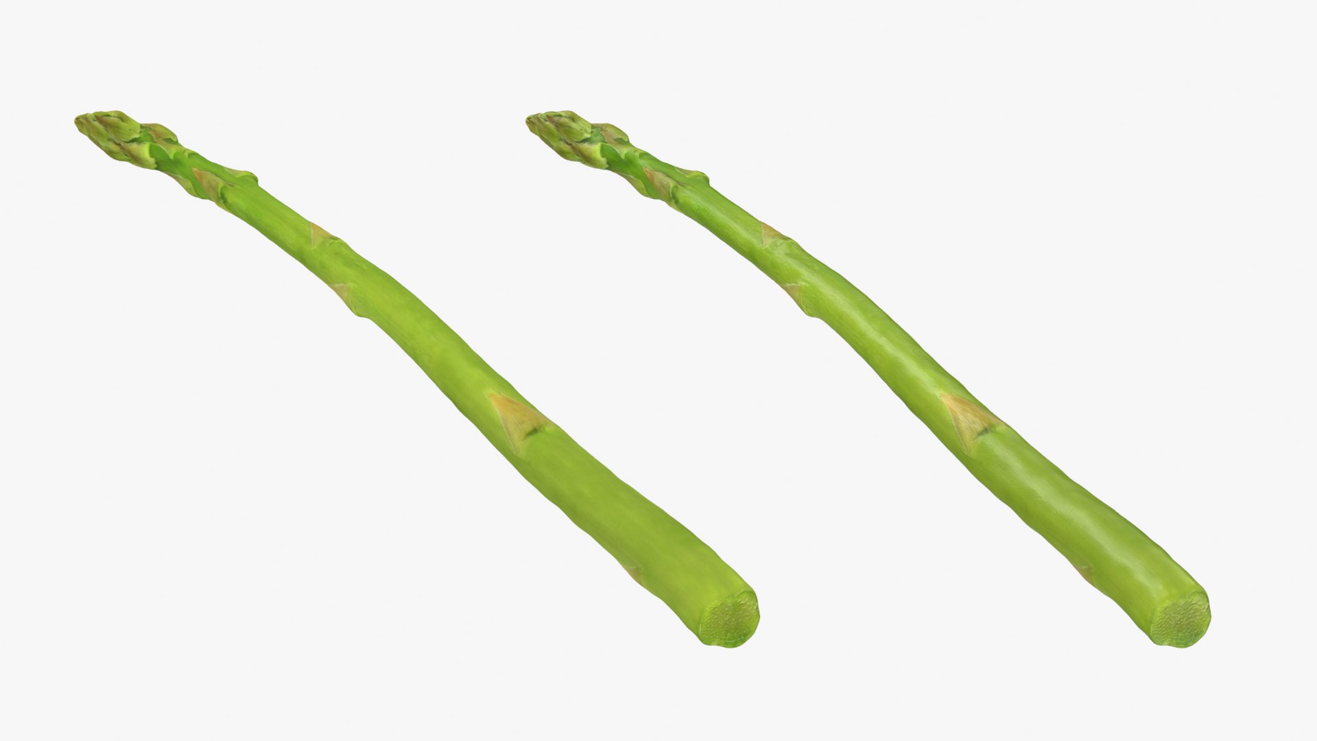 Asparagus Collection 3D https://p.turbosquid.com/ts-thumb/uN/BmSFEH/iH/asparagus02_0001b/png/1760766022/1920x1080/fit_q87/4eec54a5339931e24011a680bf79083996c079f2/asparagus02_0001b.jpg