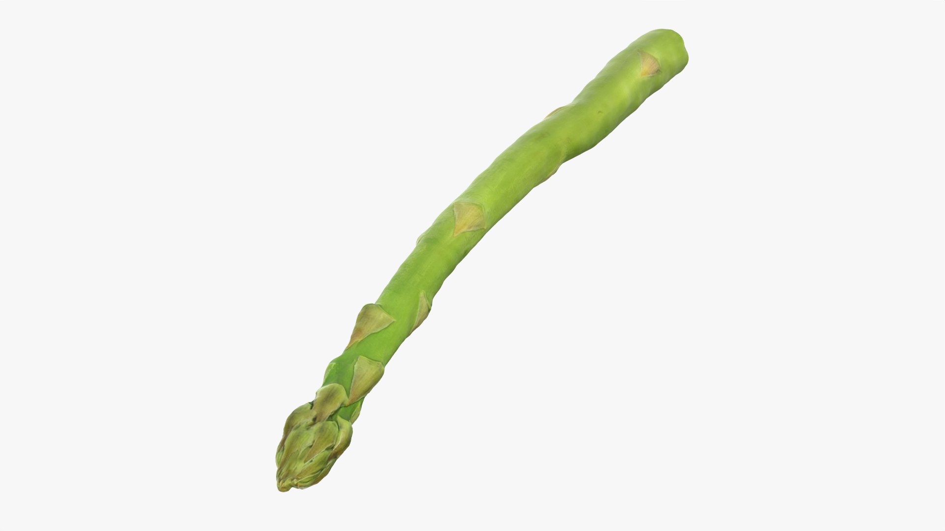 Asparagus Collection 3D https://p.turbosquid.com/ts-thumb/uN/BmSFEH/mw/asparagus02_0005/png/1760766022/1920x1080/fit_q87/f3e875564127505d277dec56c0a50943bb96ba95/asparagus02_0005.jpg