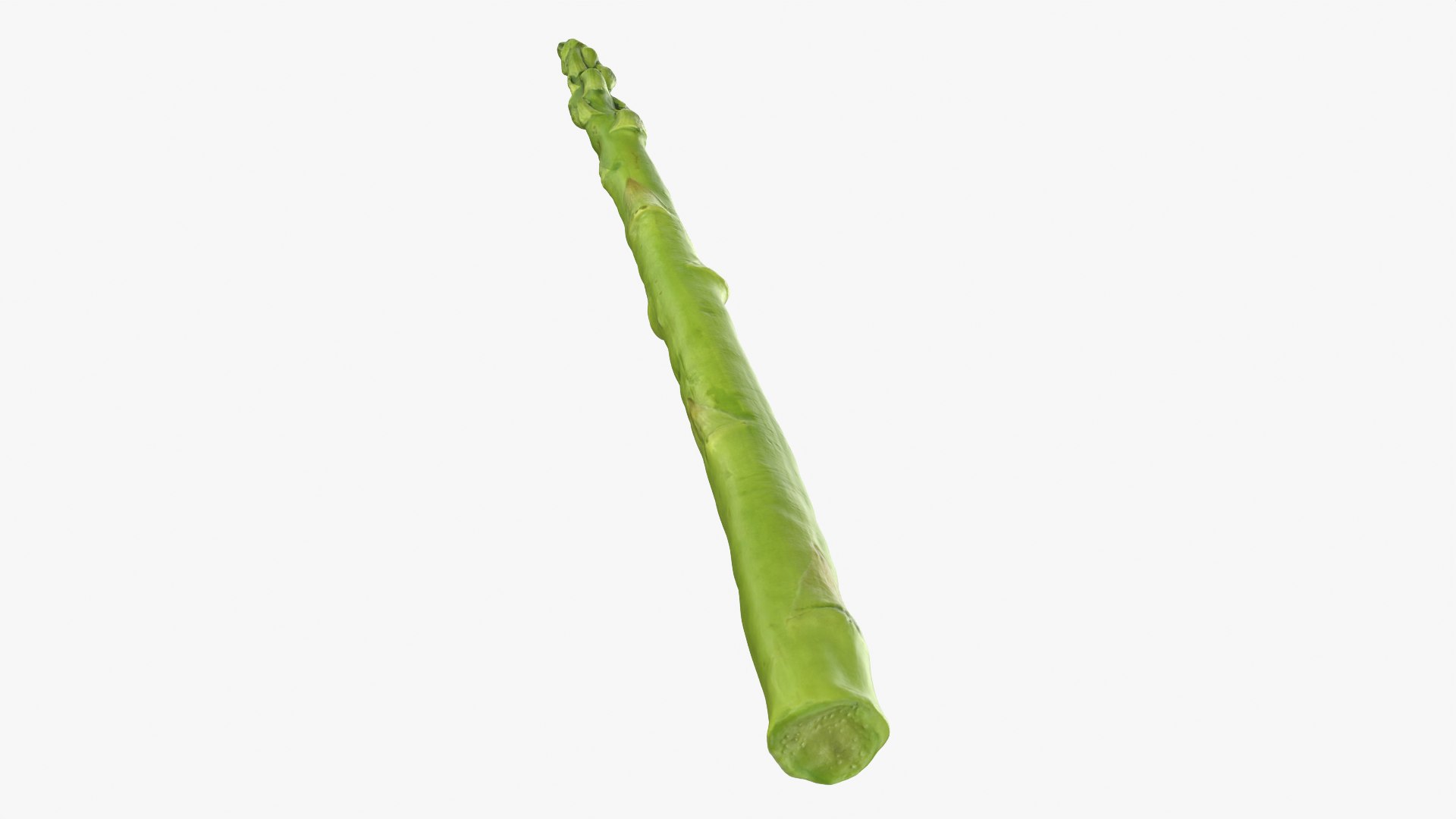 Asparagus Collection 3D https://p.turbosquid.com/ts-thumb/uN/BmSFEH/nP/asparagus01_0006/png/1760765818/1920x1080/fit_q87/695efa2db5dab3dd4c5b660f296bba8b812aaa2d/asparagus01_0006.jpg