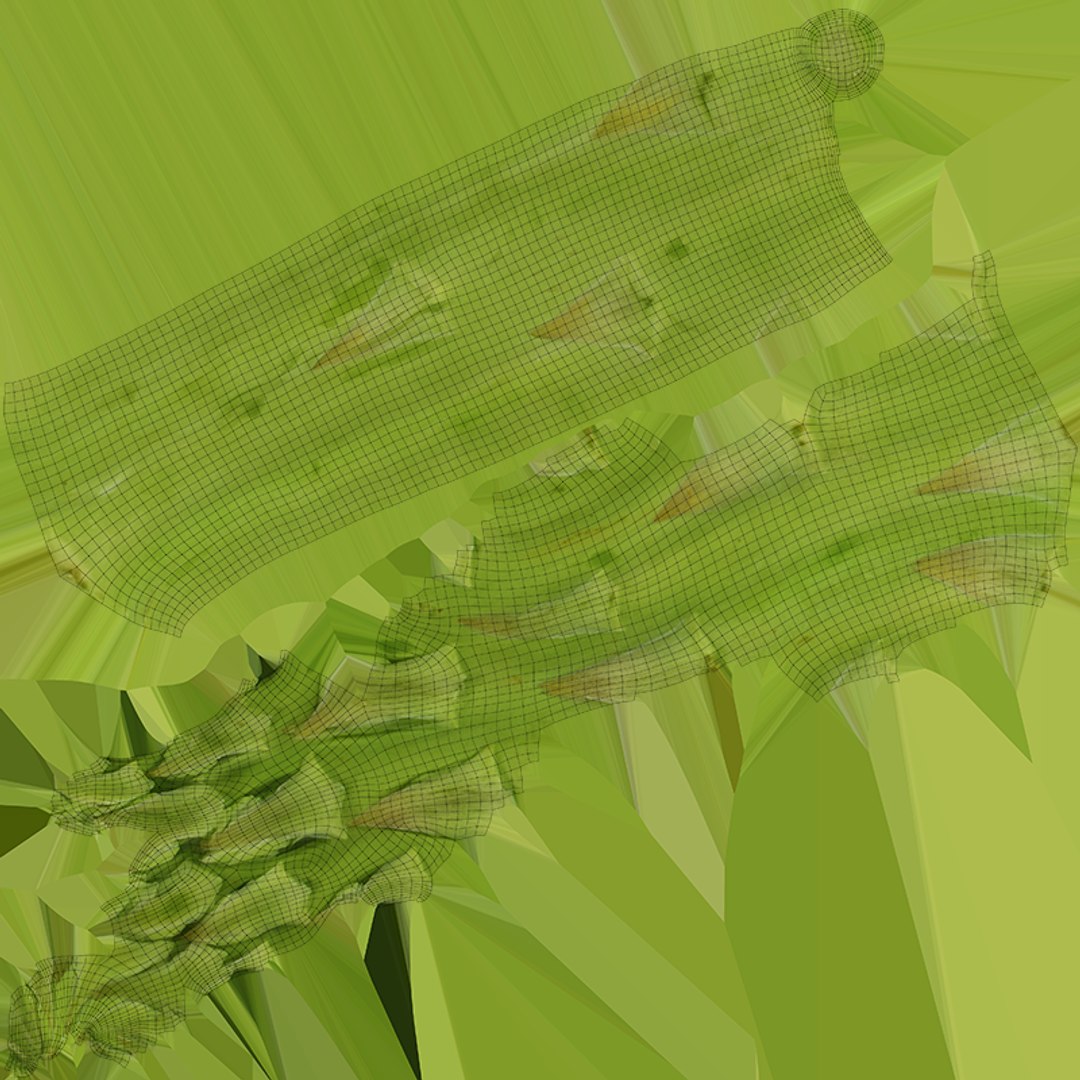 Asparagus Collection 3D https://p.turbosquid.com/ts-thumb/uN/BmSFEH/oO/asparagus01_c0004/png/1760765818/1920x1080/fit_q87/12235e9f1c0dab031005819b5932e1da405c5c6c/asparagus01_c0004.jpg
