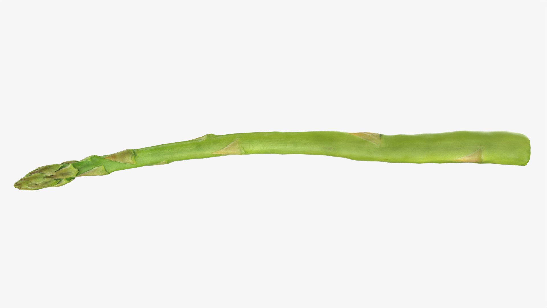 Asparagus Collection 3D https://p.turbosquid.com/ts-thumb/uN/BmSFEH/vq/asparagus02_0001/png/1760766022/1920x1080/fit_q87/3dc46de23f9a228d93afe2e6a5f3a7ef6d361503/asparagus02_0001.jpg