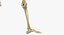 Human Female Skeleton Pose 78(1)