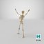 Human Female Skeleton Pose 78(1)