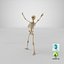 Human Female Skeleton Pose 78(1)