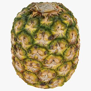 Pineapple 3D model
