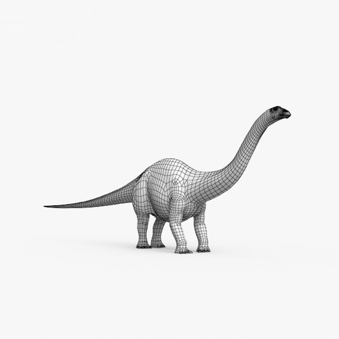 Brontosaurus dinosaurs animal 3D - TurboSquid 1523707
