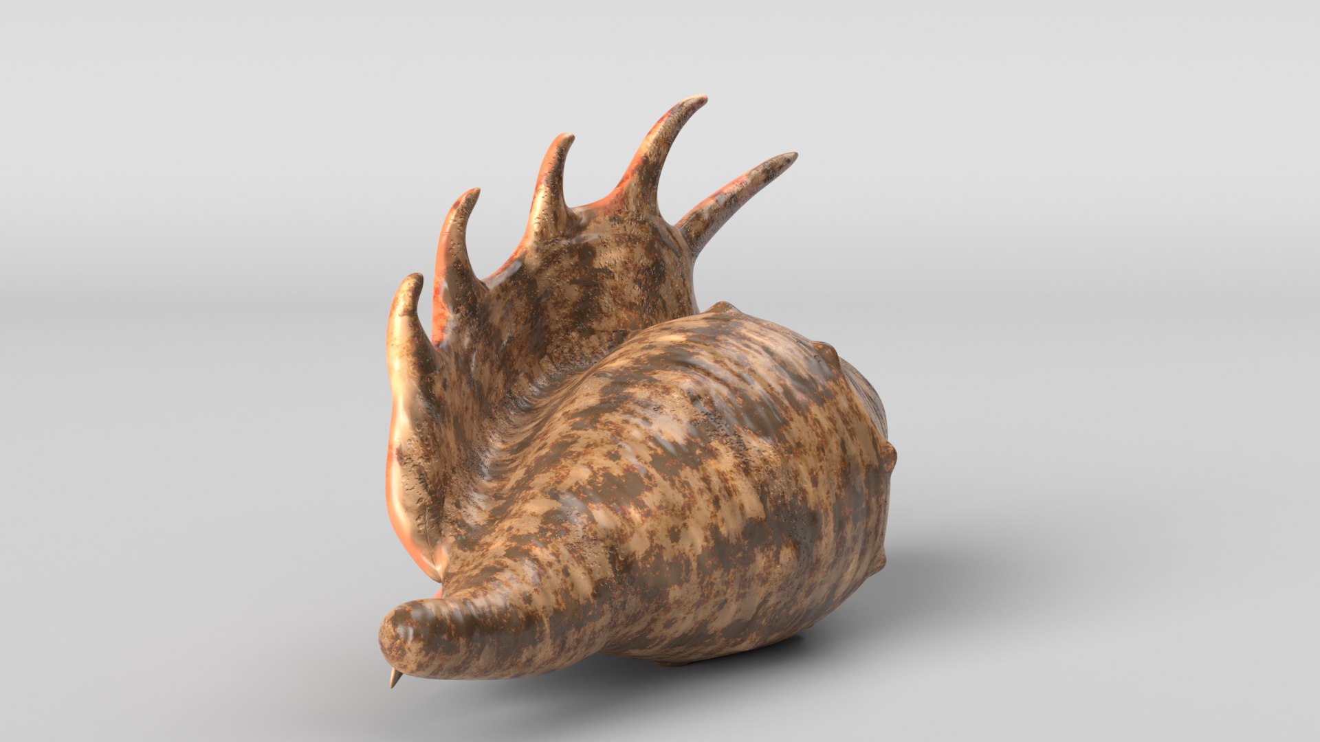 Seashell Shell Sea 3D Model - TurboSquid 1665707