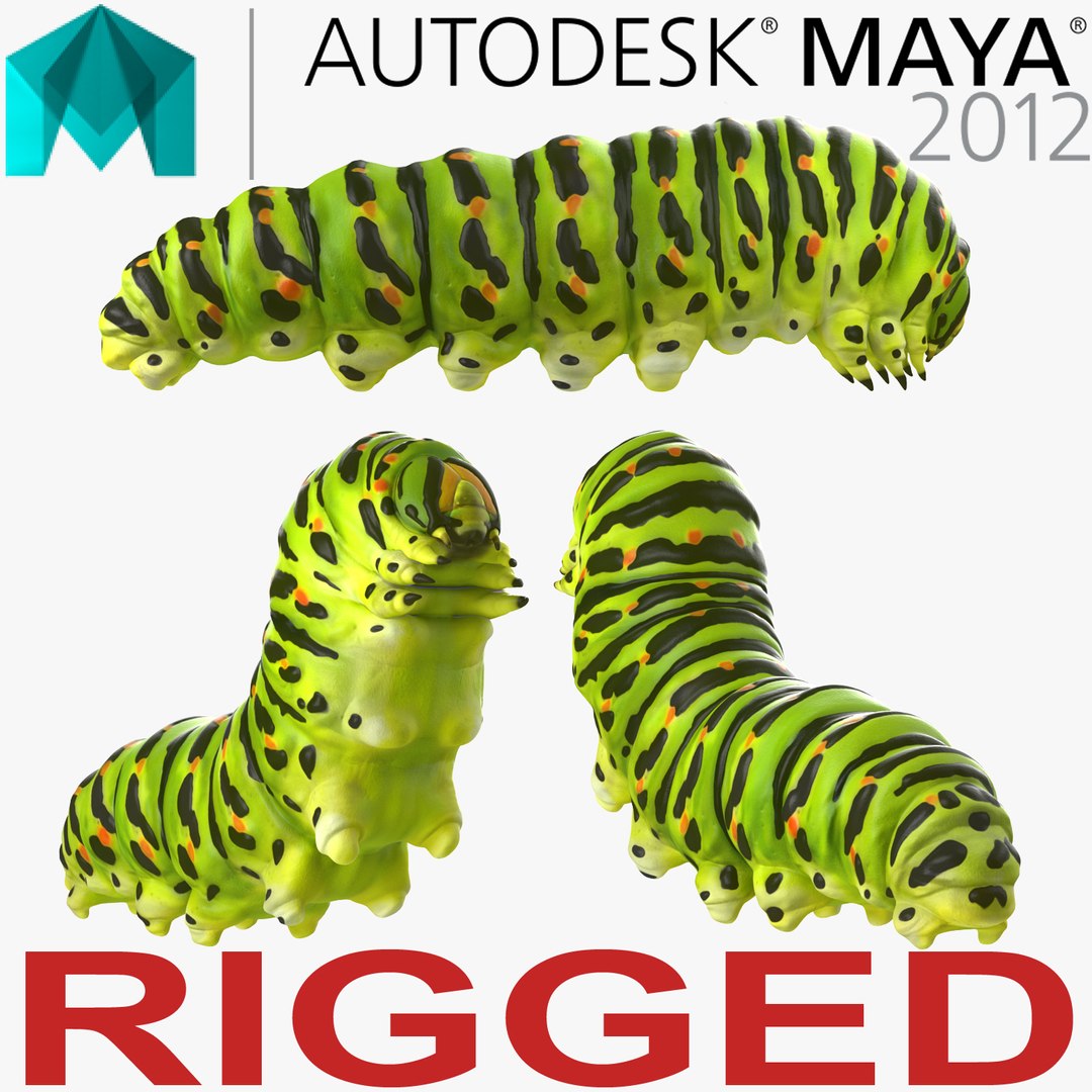 Caterpillar Rigged for Maya 3D model preview