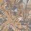 Foglia 01(1)
