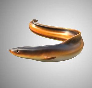 Realistic Electric Eel Rigged Low Poly
