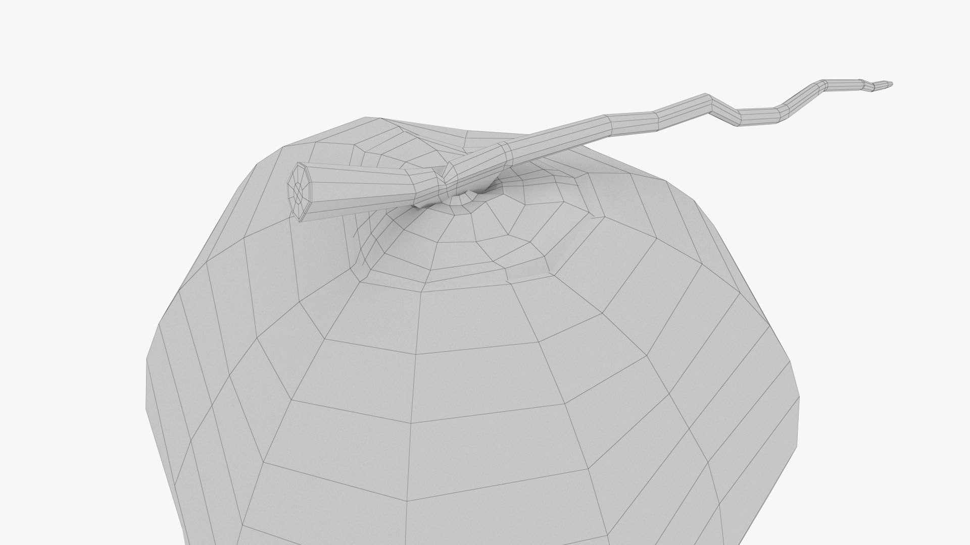 YELLOW COCONUT 3D Model - TurboSquid 2127946