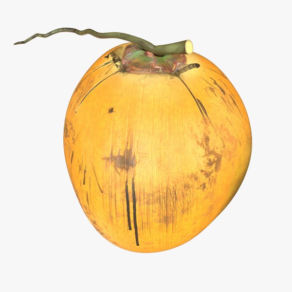 YELLOW COCONUT 3D model