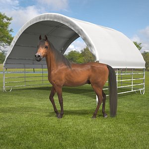 Portable Livestock Shelter with Horse Fur 3D model