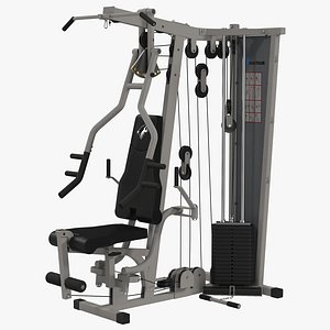 3d model weight machine modeled