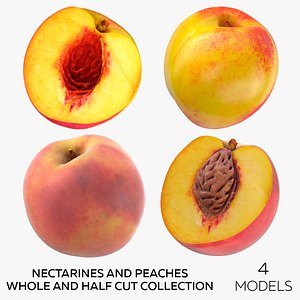 Nectarines and Peaches Whole and Half Cut Collection - 4 models 3D model