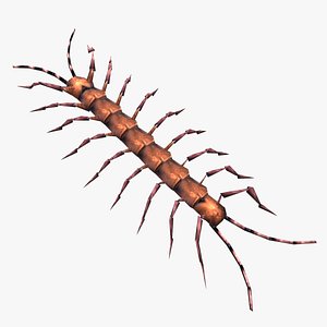 Animated centipede
