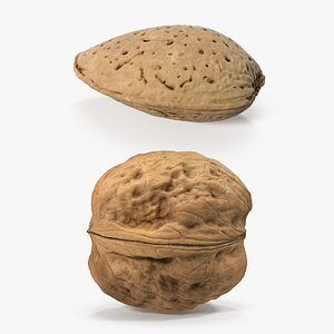 3D nuts raw almond model