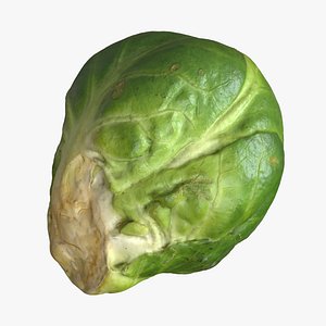 Brussels Sprout 1