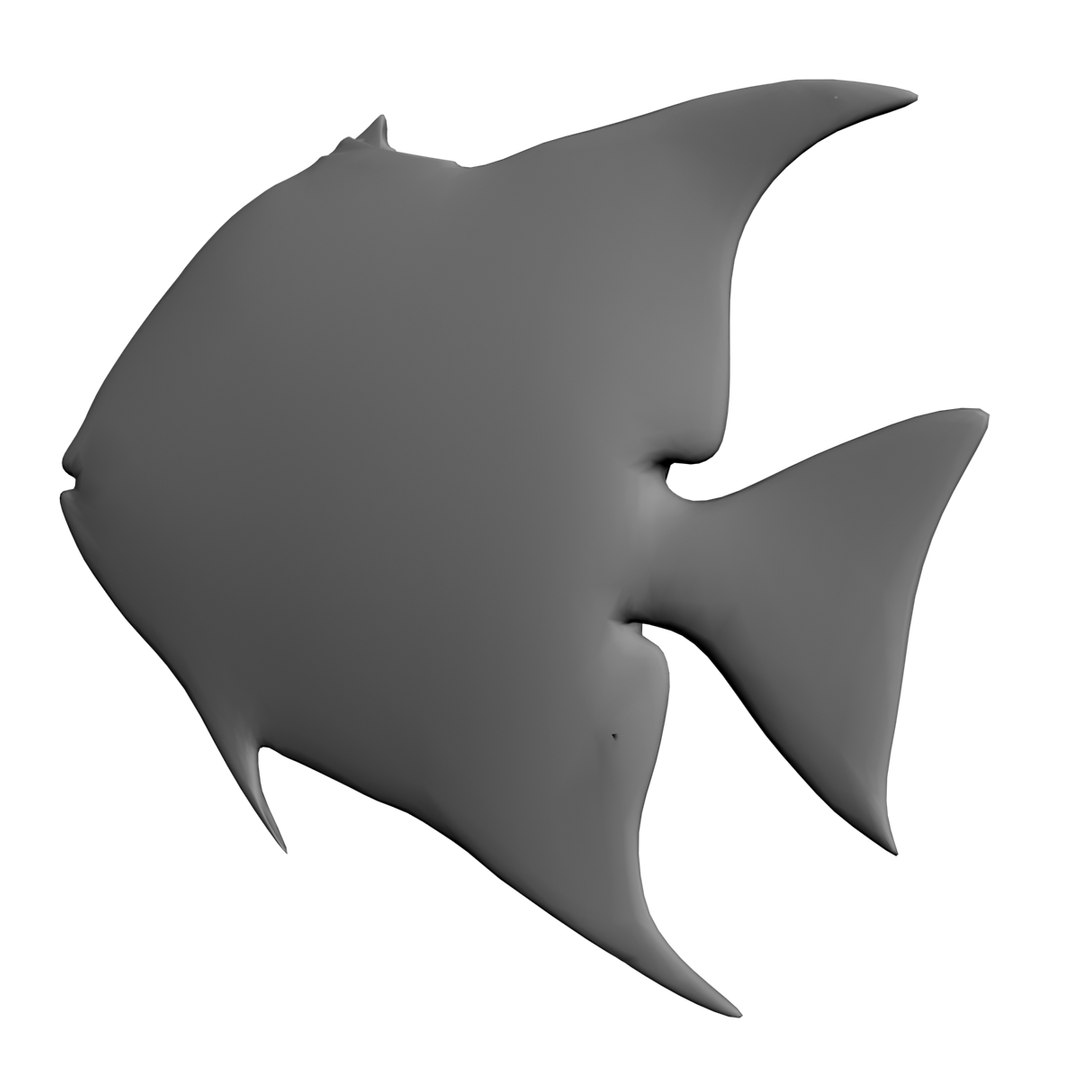 3D model spadefish fish - TurboSquid 1217500