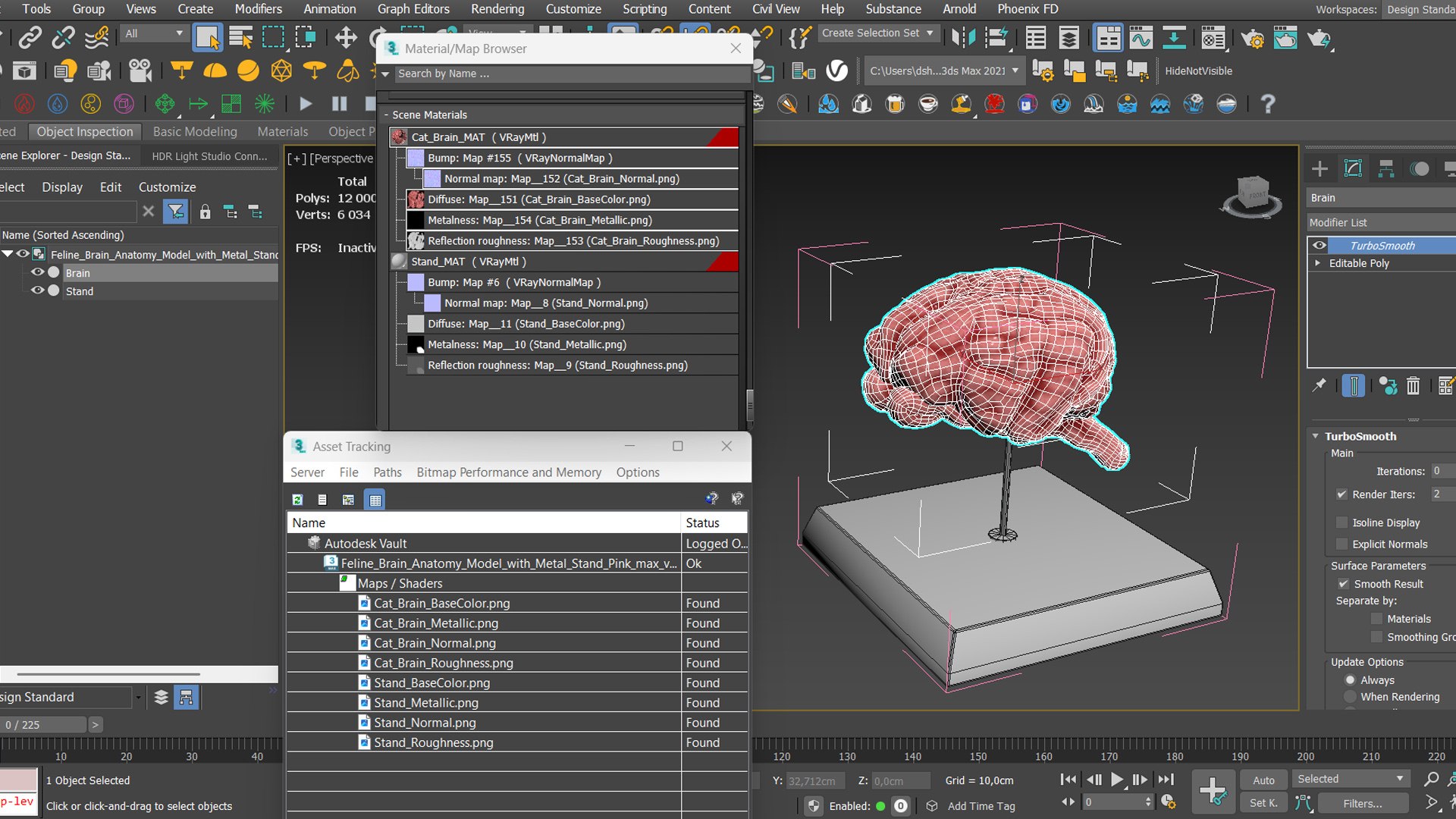 Feline Brain Anatomy Model with Metal Stand Pink 3D model https://p.turbosquid.com/ts-thumb/uO/y2nCgS/1Y/feline_brain_anatomy_model_with_metal_stand_pink_014/jpg/1776823920/1920x1080/fit_q87/2d00c4426af68ce557dc9be8dc2eea370c04d0d8/feline_brain_anatomy_model_with_metal_stand_pink_014.jpg