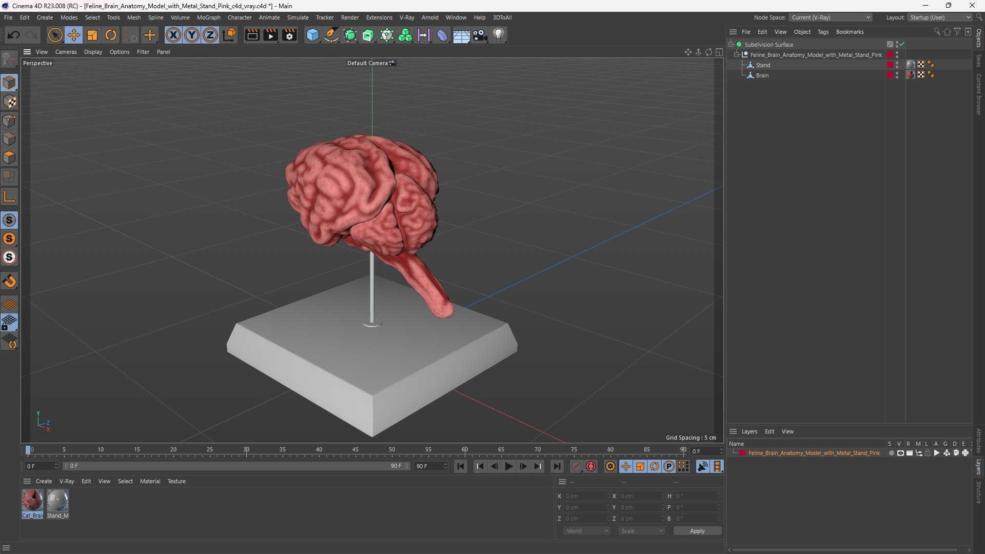 Feline Brain Anatomy Model with Metal Stand Pink 3D model https://p.turbosquid.com/ts-thumb/uO/y2nCgS/UT/feline_brain_anatomy_model_with_metal_stand_pink_1003/jpg/1776823929/1920x1080/fit_q87/ac057fa6081e6ed6f86a1b6f4e08d12fd3e88c1c/feline_brain_anatomy_model_with_metal_stand_pink_1003.jpg