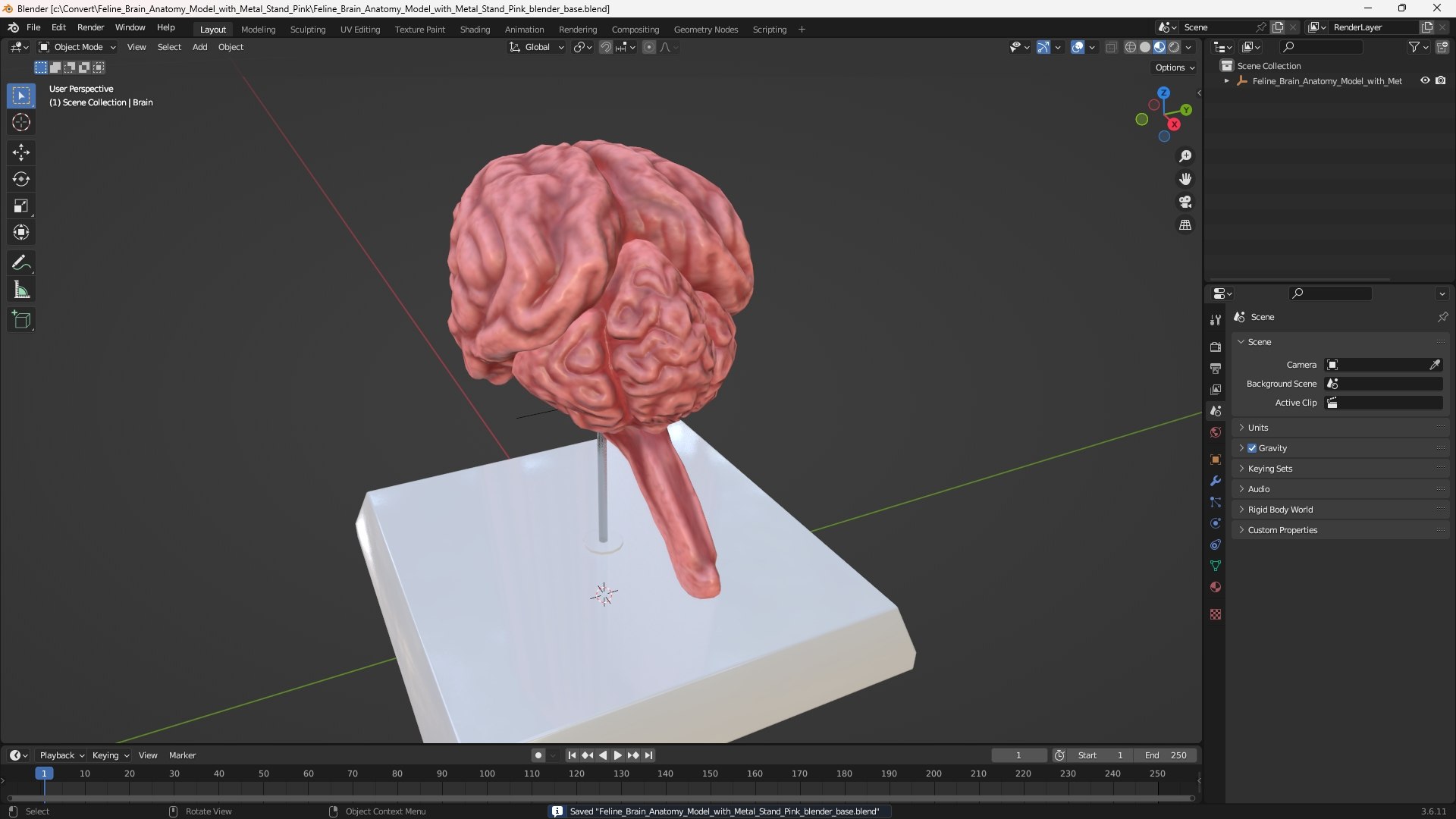 Feline Brain Anatomy Model with Metal Stand Pink 3D model https://p.turbosquid.com/ts-thumb/uO/y2nCgS/dG/feline_brain_anatomy_model_with_metal_stand_pink_1001/jpg/1776823923/1920x1080/fit_q87/0f7987bf1172b55cb4fc94a046a653c70252e61d/feline_brain_anatomy_model_with_metal_stand_pink_1001.jpg