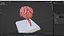 Feline Brain Anatomy Model with Metal Stand Pink
