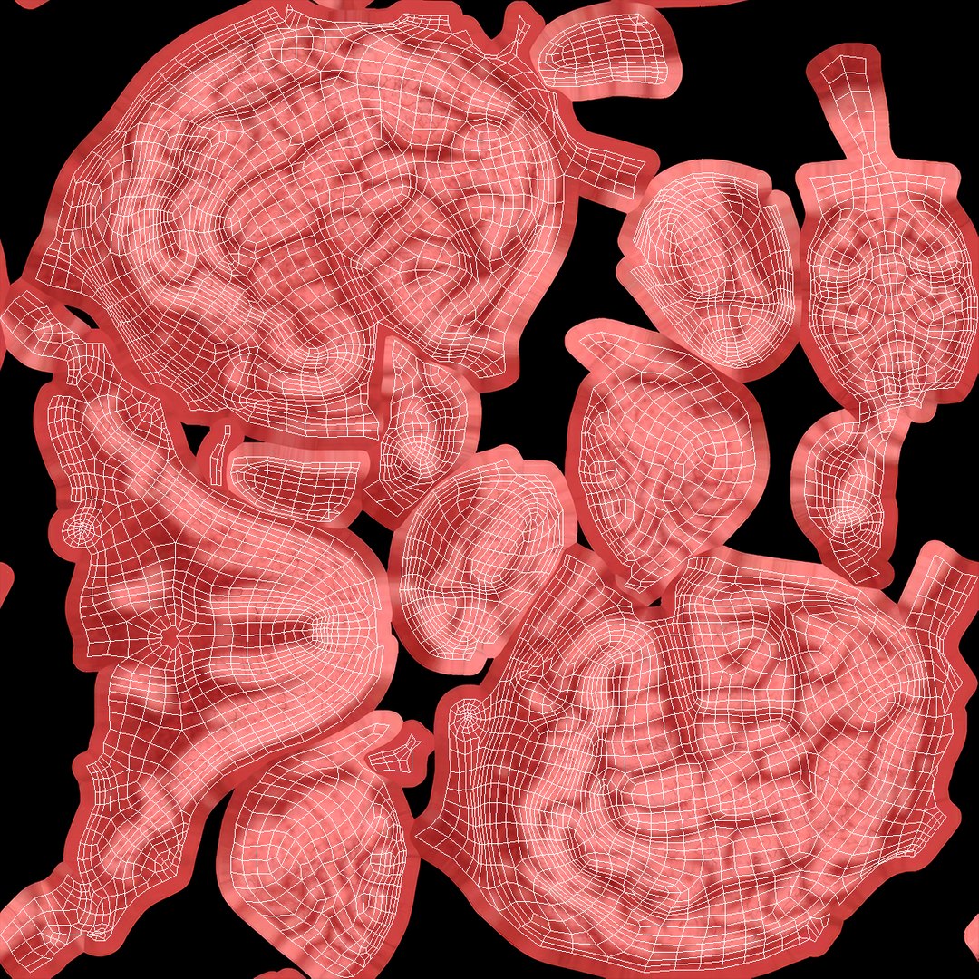 Feline Brain Anatomy Model with Metal Stand Pink 3D model https://p.turbosquid.com/ts-thumb/uO/y2nCgS/hu/feline_brain_anatomy_model_with_metal_stand_pink_012/jpg/1776823915/1920x1080/fit_q87/e5e98510afbb79e35f09d609f26d1d3550b4e988/feline_brain_anatomy_model_with_metal_stand_pink_012.jpg