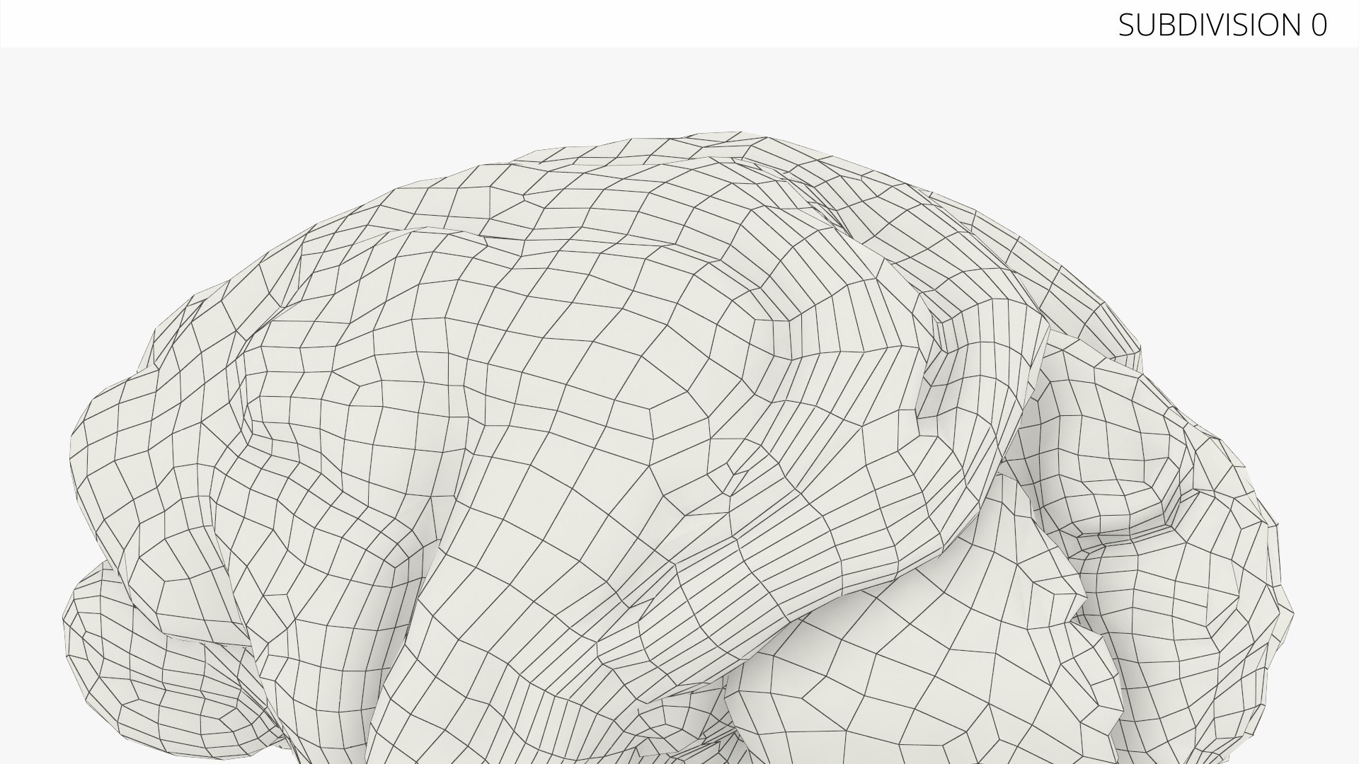 Feline Brain Anatomy Model with Metal Stand Pink 3D model https://p.turbosquid.com/ts-thumb/uO/y2nCgS/sm/feline_brain_anatomy_model_with_metal_stand_pink_009/jpg/1776823906/1920x1080/fit_q87/2c14ac457715386c51df73f3f07e540bb6f324a2/feline_brain_anatomy_model_with_metal_stand_pink_009.jpg