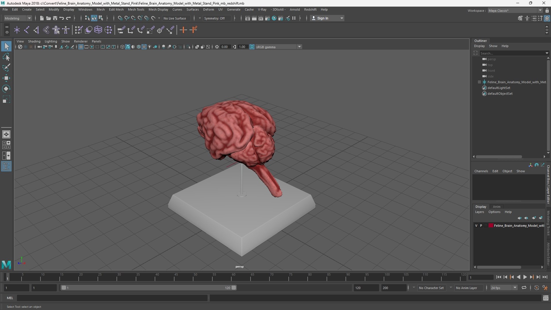 Feline Brain Anatomy Model with Metal Stand Pink 3D model https://p.turbosquid.com/ts-thumb/uO/y2nCgS/tn/feline_brain_anatomy_model_with_metal_stand_pink_1002/jpg/1776823926/1920x1080/fit_q87/9441795987928a0474cba7d937695f8ea619de0a/feline_brain_anatomy_model_with_metal_stand_pink_1002.jpg