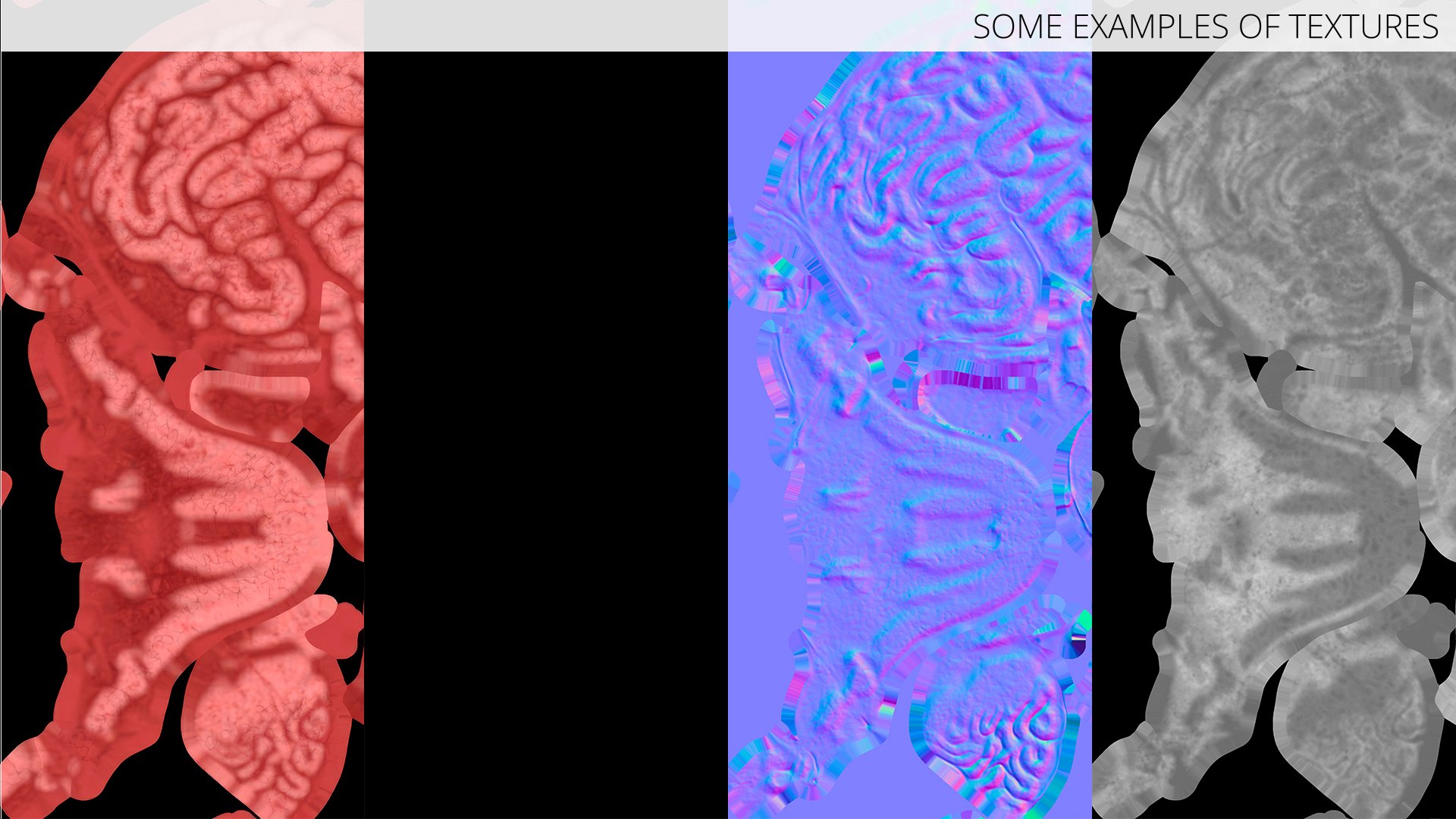 Feline Brain Anatomy Model with Metal Stand Pink 3D model https://p.turbosquid.com/ts-thumb/uO/y2nCgS/yN/feline_brain_anatomy_model_with_metal_stand_pink_013/jpg/1776823917/1920x1080/fit_q87/e52145b5e4b5a5832177d5eed595c87ce70d5444/feline_brain_anatomy_model_with_metal_stand_pink_013.jpg