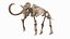 Mammoth Adult with Skeleton Collection 3D