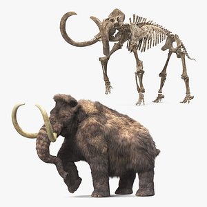 Mammoth Adult with Skeleton Collection 3D
