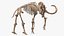 Mammoth Adult with Skeleton Collection 3D