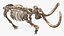Mammoth Adult with Skeleton Collection 3D